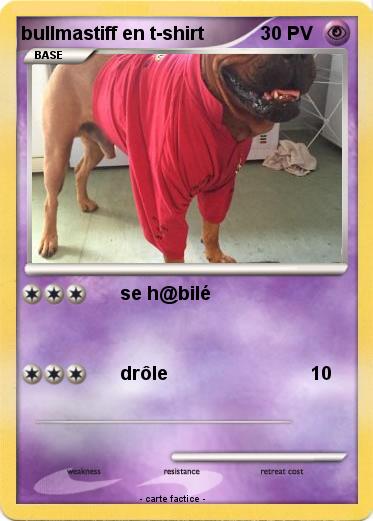 Pokemon bullmastiff en t-shirt