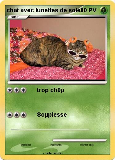 Pokemon chat avec lunettes de soleil