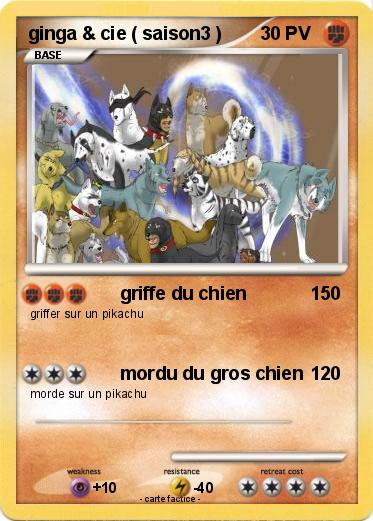 Pokemon ginga & cie ( saison3 )