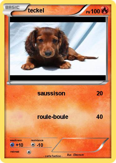 Pokemon teckel