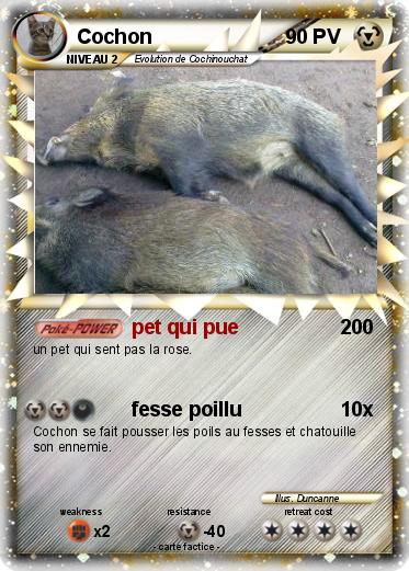 Pokemon Cochon