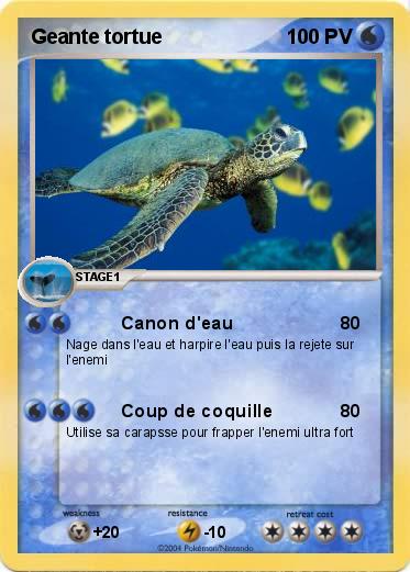 Pokemon Geante tortue