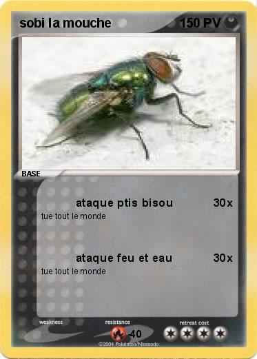 Pokemon sobi la mouche
