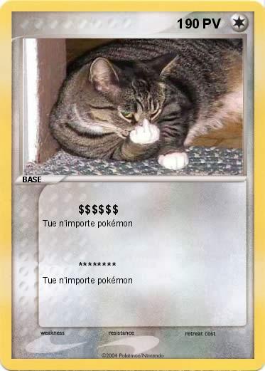 Pokemon                                            1