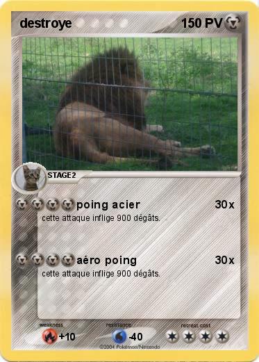 Pokemon destroye