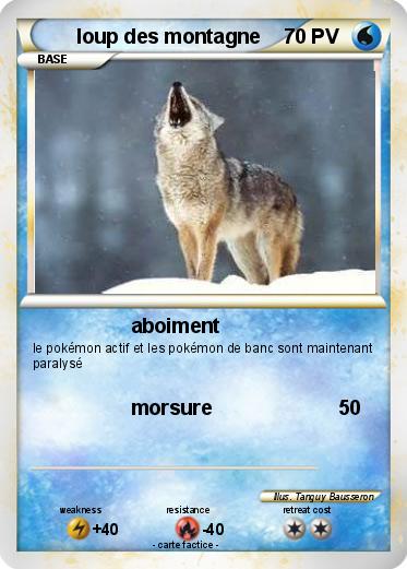 Pokemon loup des montagne