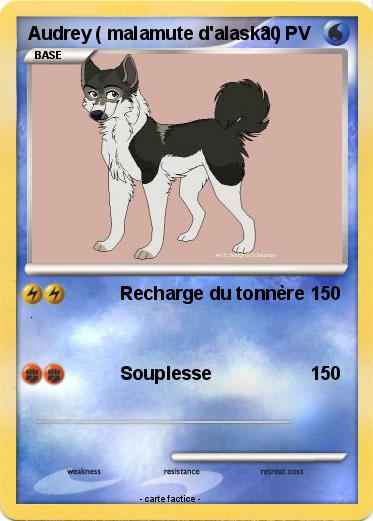 Pokemon Audrey ( malamute d'alaska )