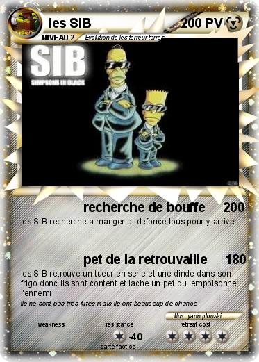 Pokemon les SIB
