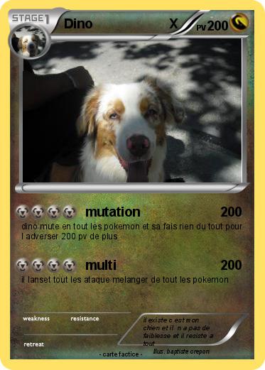 Pokemon Dino                     X