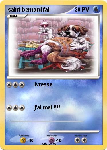 Pokemon saint-bernard fail