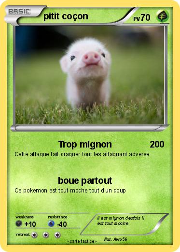 Pokemon pitit coçon