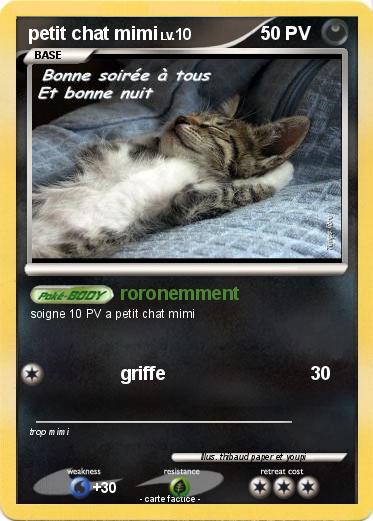 Pokemon petit chat mimi