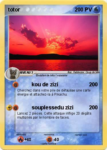 Pokemon totor