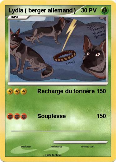 Pokemon Lydia ( berger allemand )