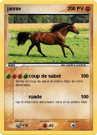 Pokemon jannie