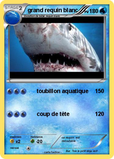 Pokemon grand requin blanc