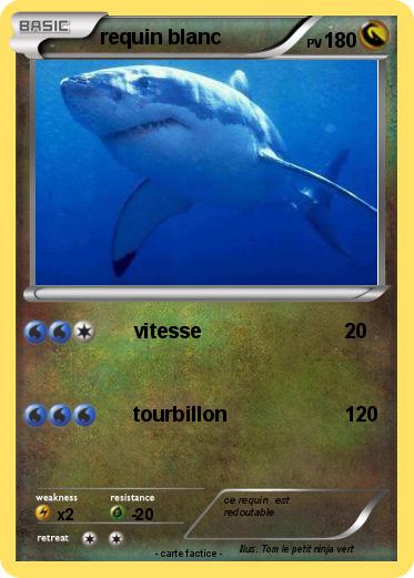 Pokemon requin blanc