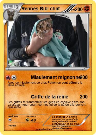 Pokemon Rennes Bibi chat
