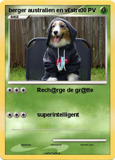 Pokemon berger australien en v£stre