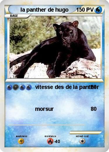 Pokemon la panther de hugo