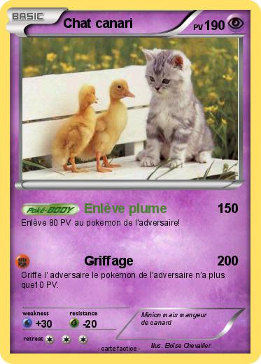 Pokemon Chat canari