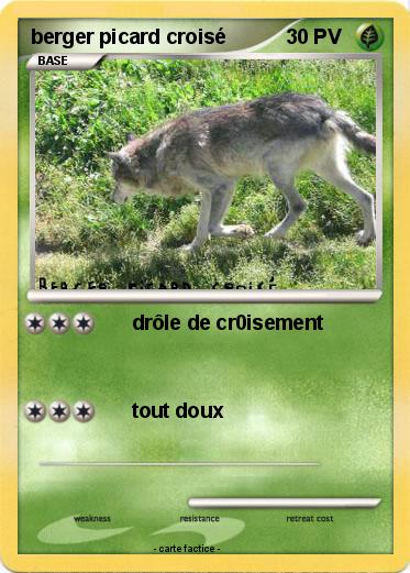 Pokemon berger picard croisé