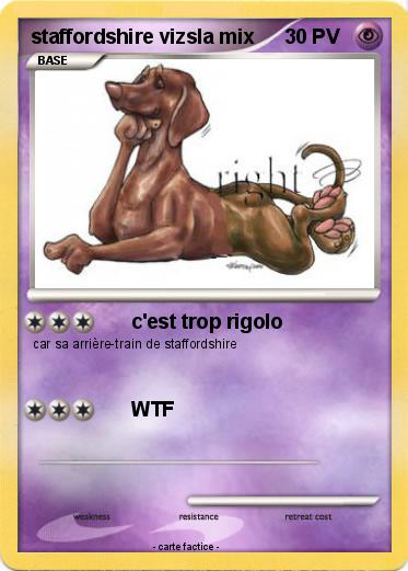Pokemon staffordshire vizsla mix