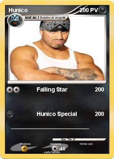 Pokemon Hunico