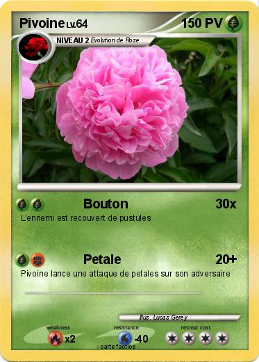 Pokemon Pivoine