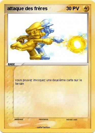 Pokemon attaque des frères
