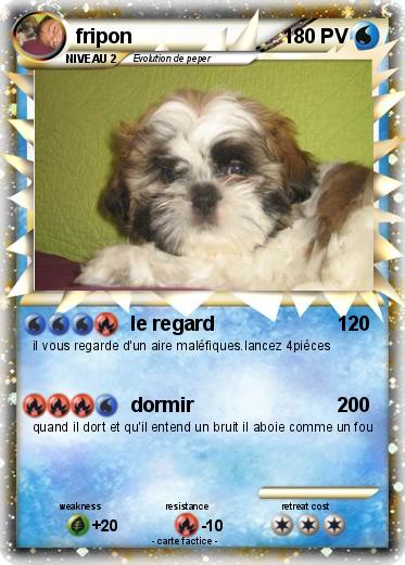 Pokemon fripon