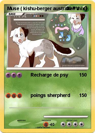 Pokemon Muse ( kishu-berger australien mix )