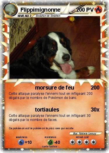 Pokemon Flippimignonne