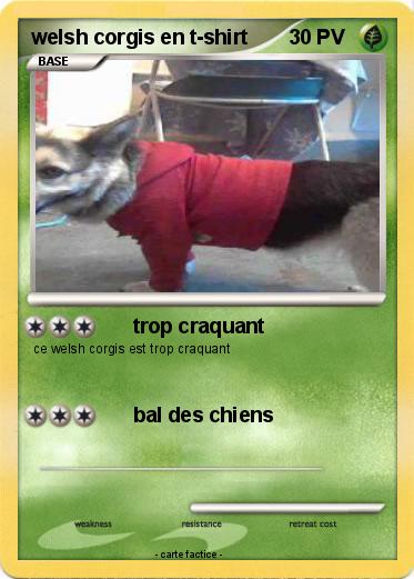 Pokemon welsh corgis en t-shirt