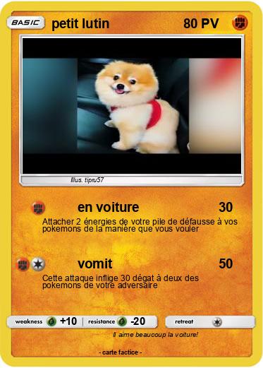 Pokemon petit lutin