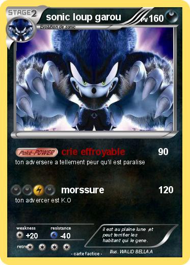 Pokemon sonic loup garou