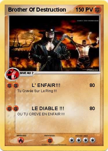 Pokemon Brother Of Destruction