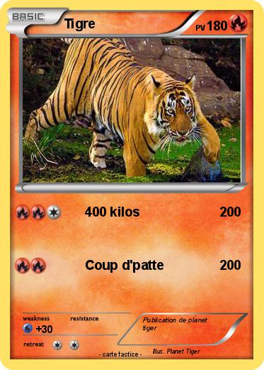 Pokemon Tigre