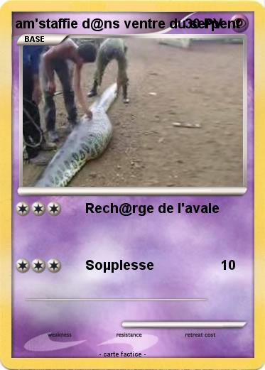 Pokemon am'staffie d@ns ventre du serpent