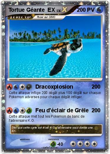 Pokemon Tortue Géante  EX