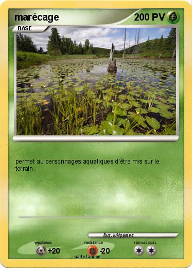 Pokemon marécage