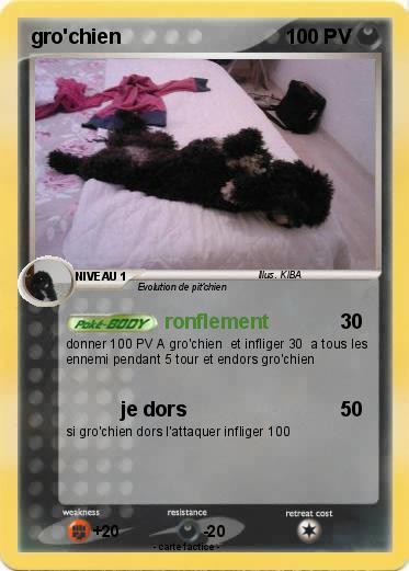 Pokemon gro'chien