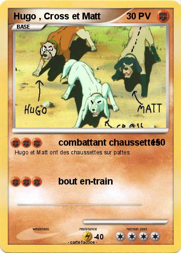 Pokemon Hugo , Cross et Matt