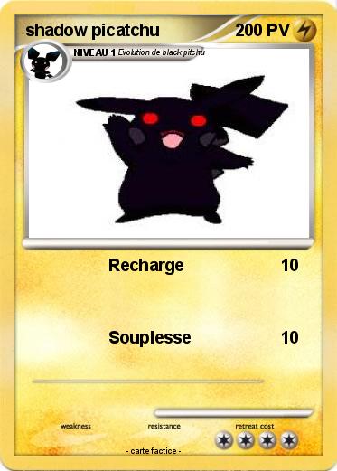 Pokemon shadow picatchu