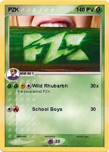 Pokemon PZK