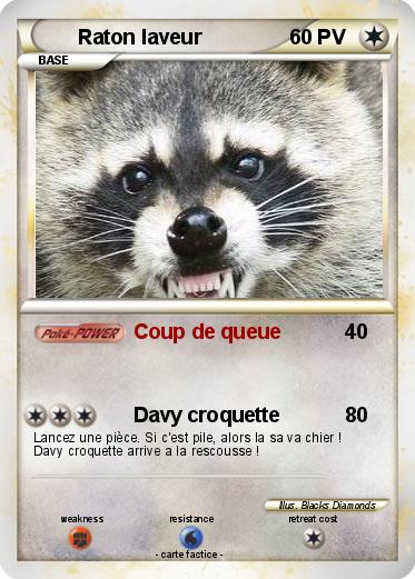 Pokemon Raton laveur