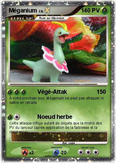 Pokemon Méganium