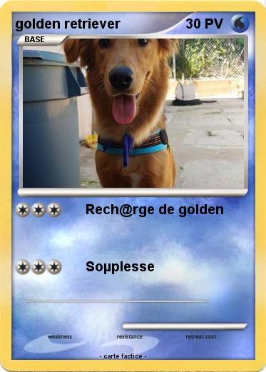Pokemon golden retriever