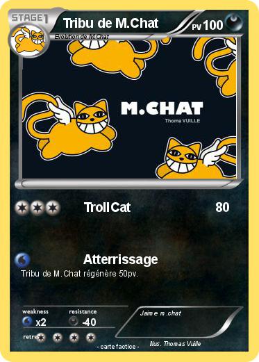 Pokemon Tribu de M.Chat