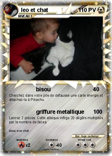 Pokemon leo et chat